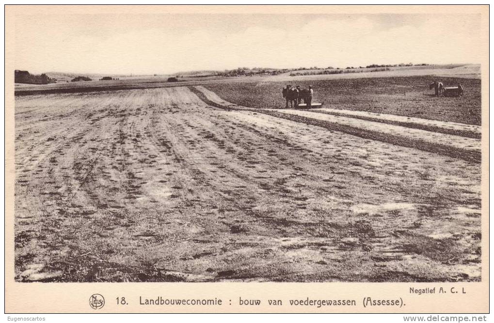 ASSESSE  Landbouwéconomie : Bouw Van Voedergewassen Nels 18 - Assesse