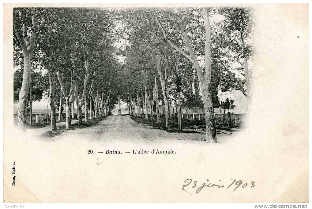 AFRIQUE - ALGERIE - BATNA - L'ALLEE D'AUMALE - Edit  BEUN N° 20  -- VOYAGEE  1903 - Batna
