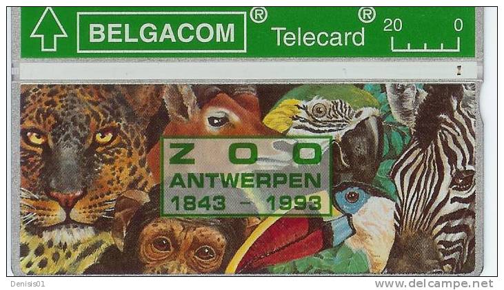 Belgique - Zoo Van Antwerpen - N° 64 - 304 A - Without Chip