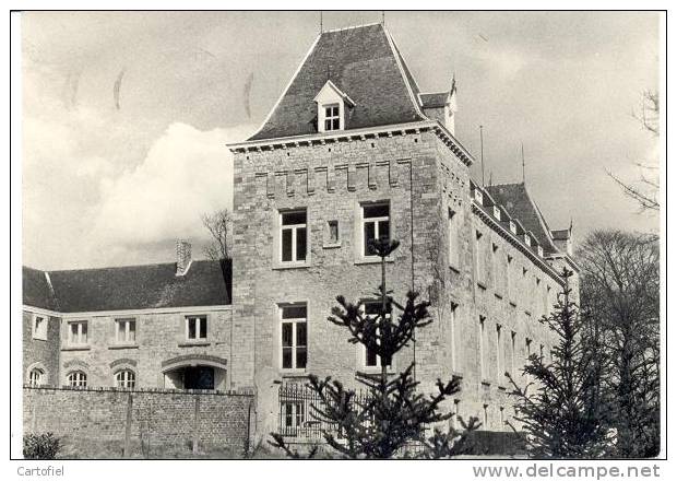 MOZET - DOMAINE DE MOZET - CHATEAU - KASTEEL - Gesves