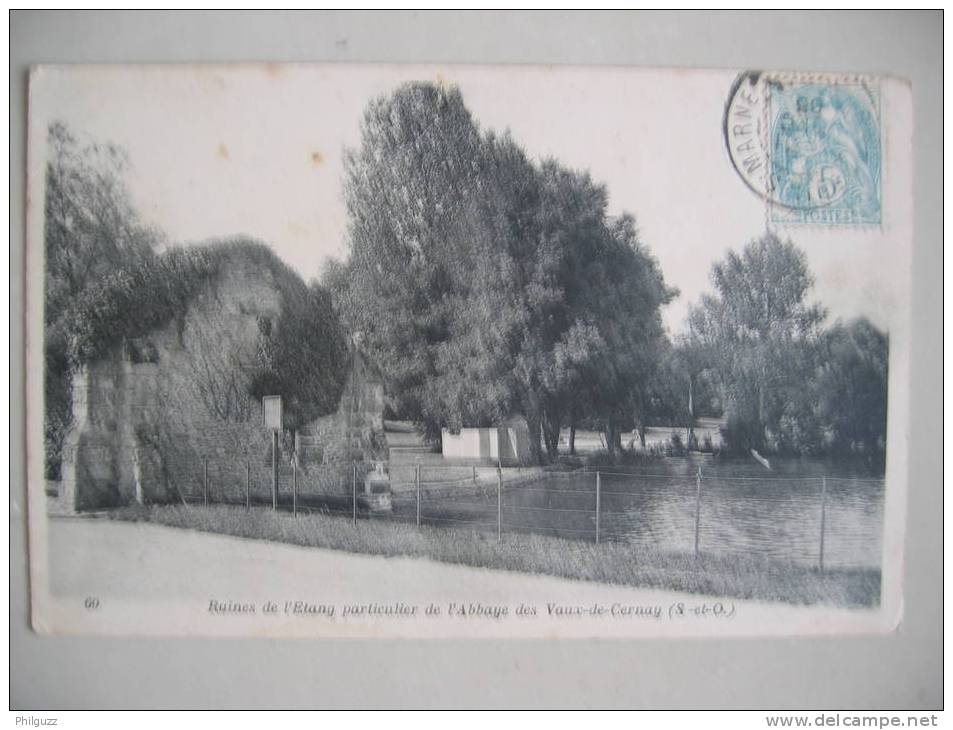 RUINES DE L'ETANG PARTICULIER DE L'ABBAYE DES VAUX DE CERNAY - Other & Unclassified