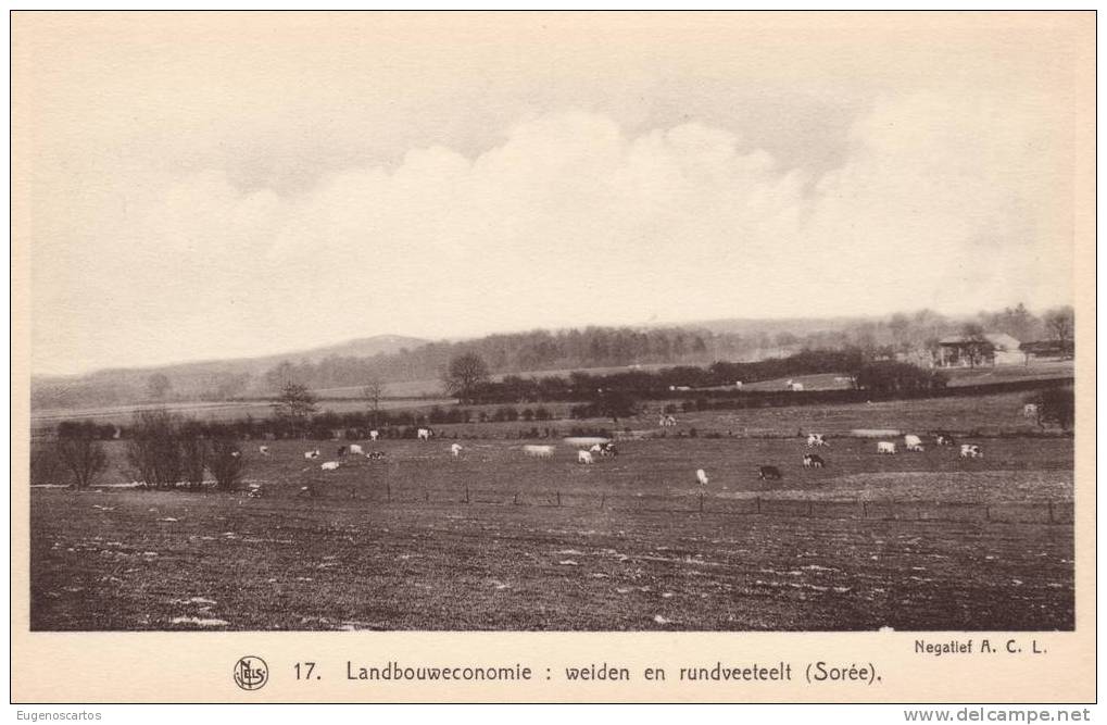 SOREE  Landbouwéconomie : Weiden En Rundveeteelt   Nels N° 17 - Gesves