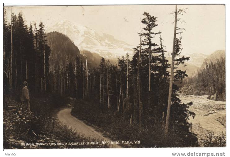 Mt Rainier National Park Real Photo Postcard, ´Boulevard And Nisqually River´, Auto On Road Man Stands On Left - Other & Unclassified