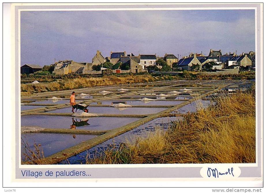 Village De  PALUDIERS  -  Collection LITTORAL - Poitou-Charentes