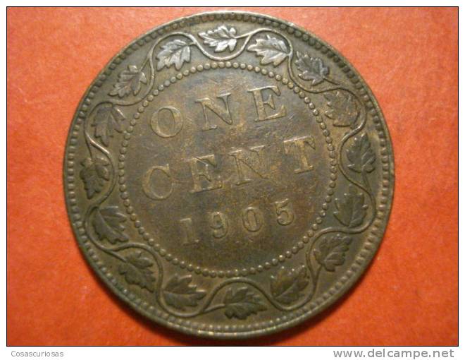 802 CANADA   ONE CENT     AÑO / YEAR  1905  MBC/VF - Canada