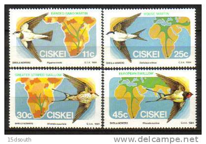 Ciskei - 1984 Migratory Birds Set MNH - Hirondelles
