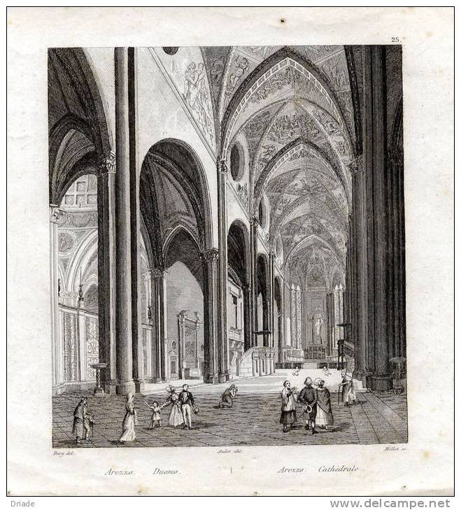 VECCHIA STAMPA INTERNO DUOMO DI AREZZO ANNO 1800 - Europa