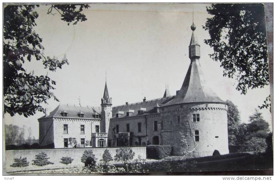 CP Photo De BOUSSU-EN-FAGNE " Le Château , Vu Du Parc " Avec Cachet Relais . - Couvin