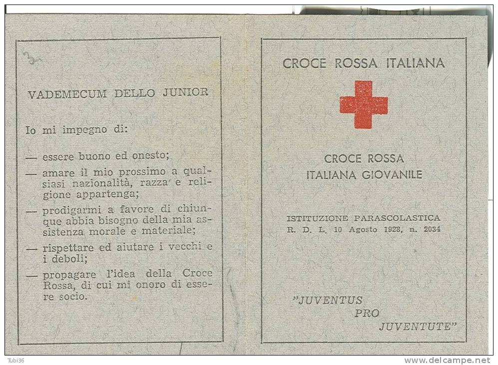 CROCE ROSSA ITALIANA GIOVANILE -TESSERA SCOLASTICA - - Croix-Rouge