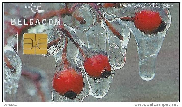 Cartes à Puce - Belgique Winter Fruit - 200 - N° 85 - MJ - Met Chip