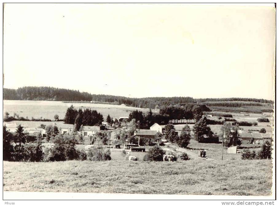 B1775   AMBERLOUP : Panorama Du Camping - Sainte-Ode