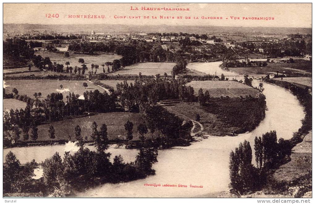 MONTREJEAU - Confluent De La Neste Et De La Garonne. Vue Panoramique - Montréjeau