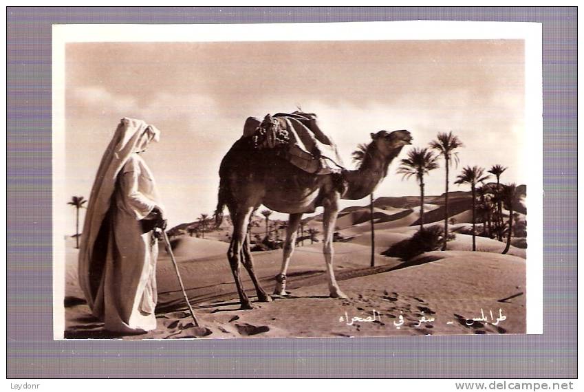 RP - Tripoli - Orientation In The Desert - Camel - Mini-Card  6cm X 9cm - Libya