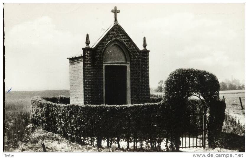 Wagnelée - Calvaire Mollet - Fleurus