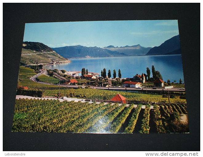 CPM  OU CPSM?? LAC LEMAN-715-CULLY ET LE VIGNOBLE DE LAVAUX - Cully