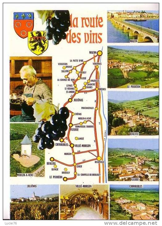 La ROUTE Des VINS -   BOURGOGNE -  9 Vues : Moulin à Vent, Juliénas, Villié Morgon, Chiroubles, Fleurie, Beaujeu - Bourgogne