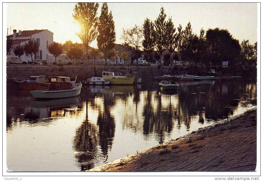 SAUJON . Coucher De Soleil Sur Le Port De Ribérou    (A453) - Saujon