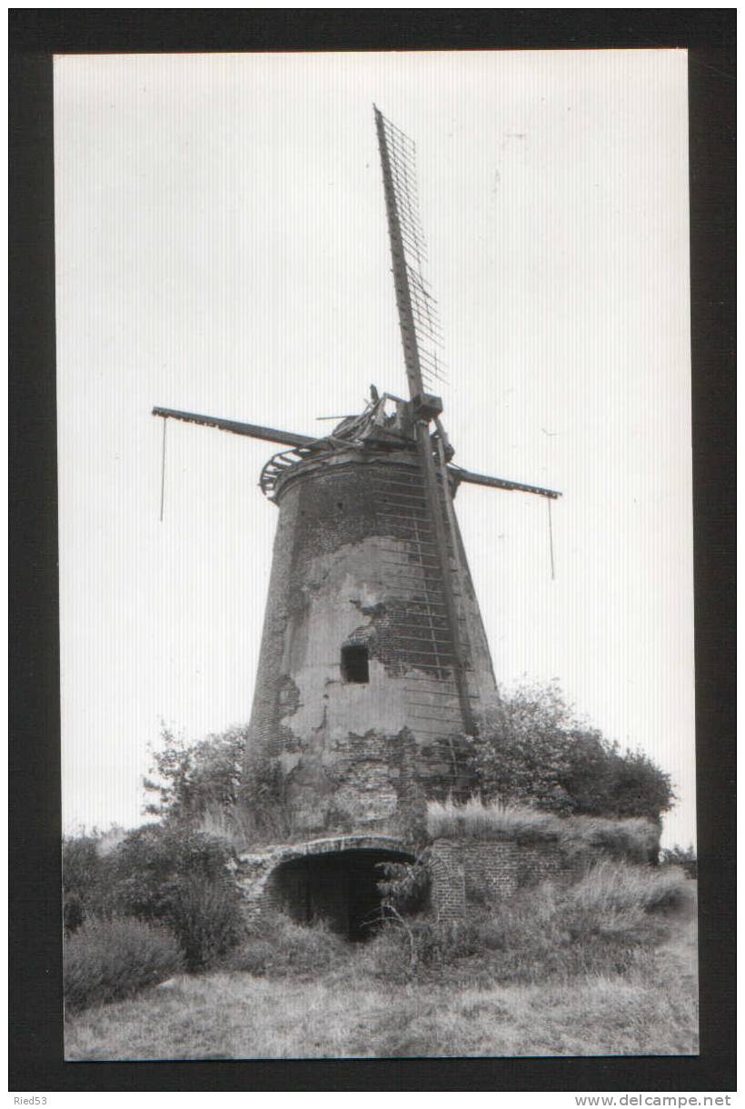 Ophoven De Korenbloem Bergkorenmolen Moulin Molen - Sonstige & Ohne Zuordnung