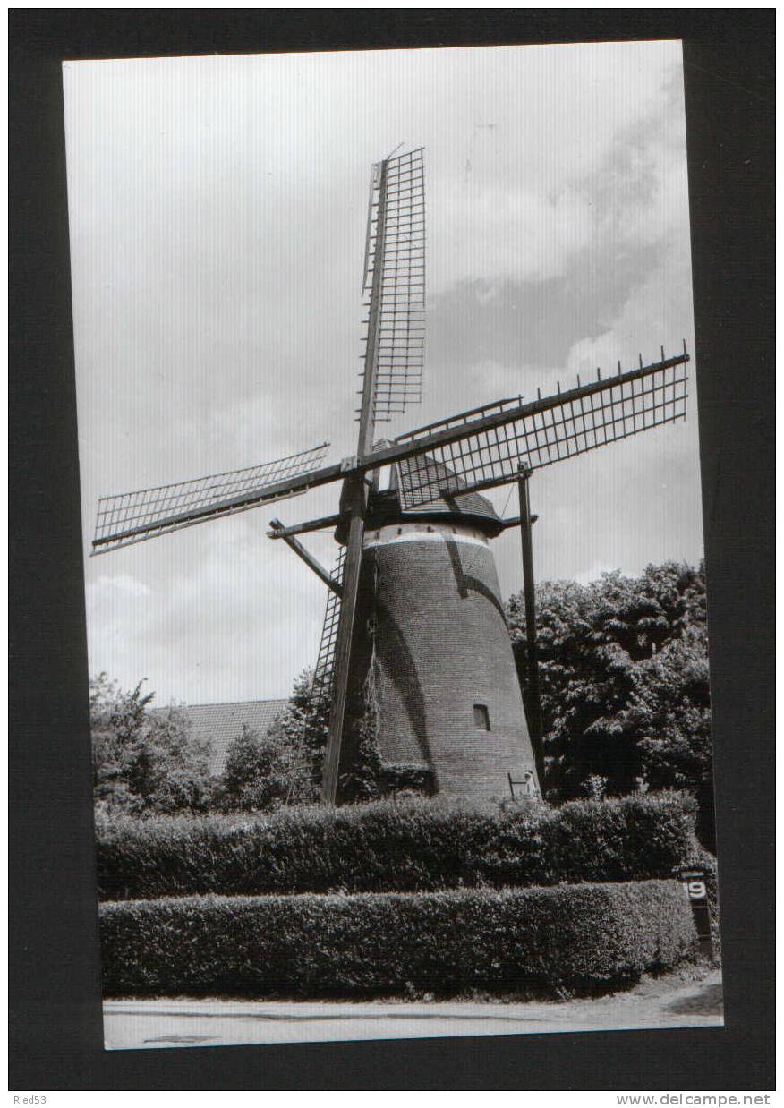 Turnhout "Coppensmolen" Beltmolen Moulin Molen - Turnhout