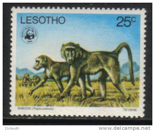 Lesotho - 1977 WWF 25c Baboon MNH** - Apen