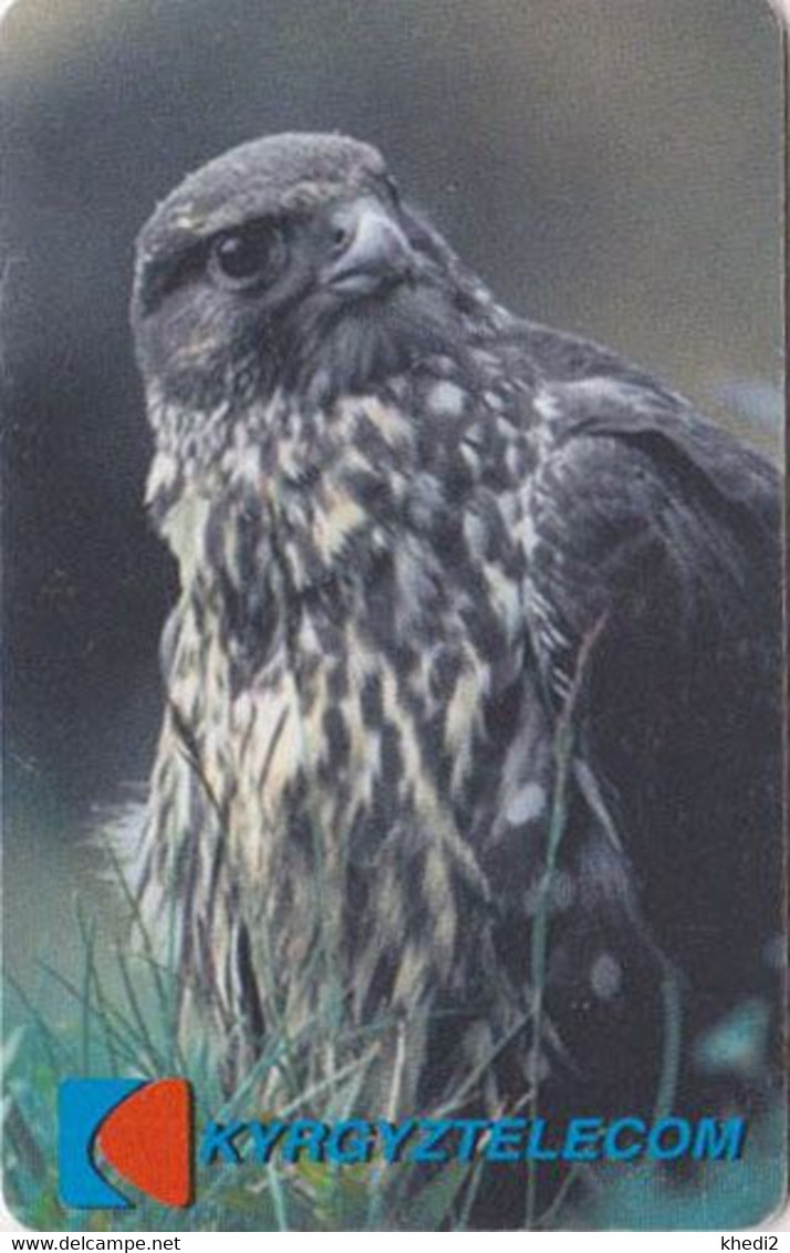 Télécarte à Puce KIRGHIZiSTAN - ANIMAL -OISEAU Rapace FAUCON - HAWK Raptor Bird Phonecard - Vogel TK Eagle - Kirghizistan