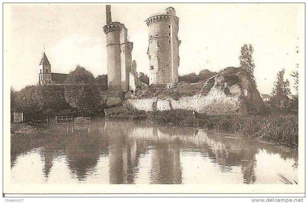 18 - MEHUN-sur-YEVRE  -  Vue Panoramique Des Ruines De L´ Ancien Château De CharlesVII - Mehun-sur-Yèvre