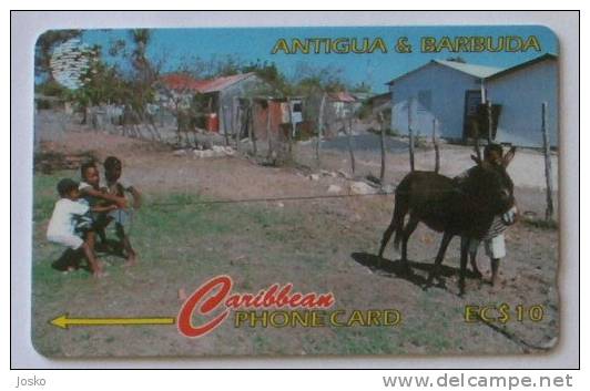 KIDS AT PLAY ... ( Antigua And Barbuda  17CATA.../B ) * Donkey âne Baudet Bourricot Burro Asno Esel Asino Donkeys Anes * - Antigua E Barbuda