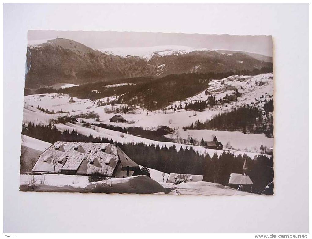 Feldber Hochschwarzwald     - 1950's   F-  D31448 - Hochschwarzwald