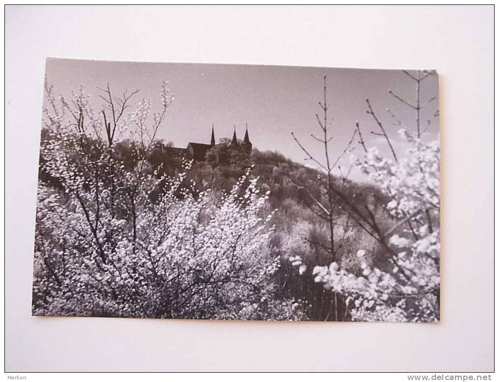 Kreis Oschersleben  Huysburg   -FOTO-AK - H.Gettmann Lichtbildner - Cca 1950 ?  VF  D31452 - Oschersleben