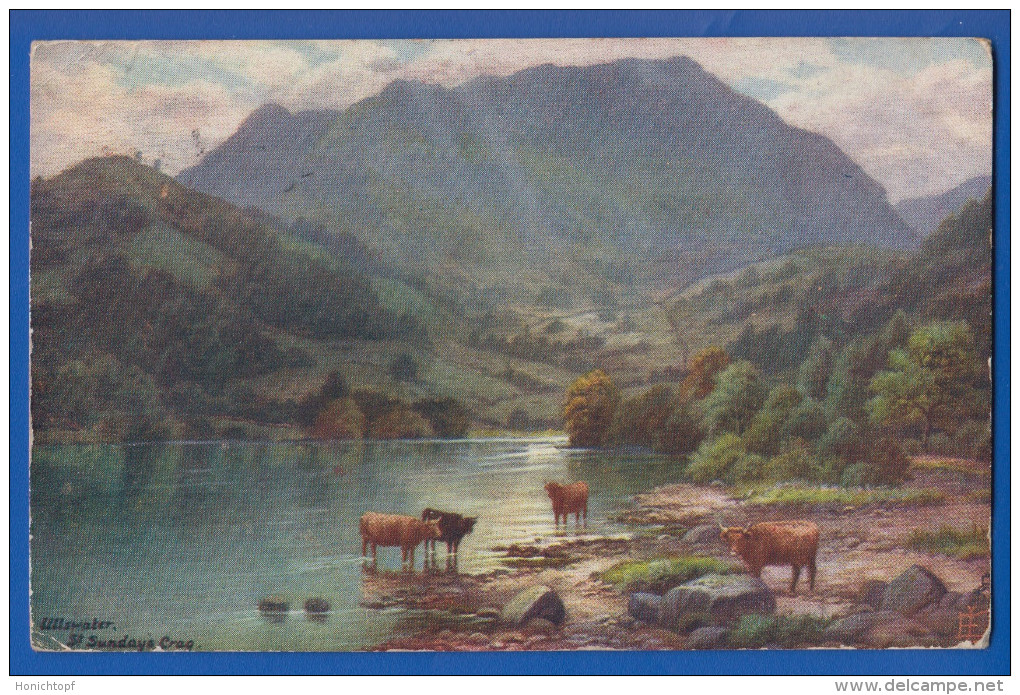 Tiere; Kühe; Cow; Vaca; Vacca; Boeuf; Vache; Taureaux; Oilette; Raphael Tuck - Bull