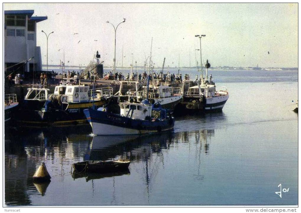 CPM...DE LA TURBALLE...RETOUR DES CHALUTIERS AU PORT... - La Turballe