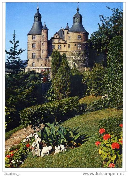 MONTBELIARD .Chateau Des Comtes       (A562) - Montbéliard