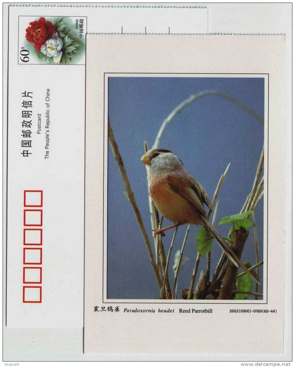 Reed Parrotbill,China 2002 Dongtan Rare Bird Postal Stationery Card - Sparrows