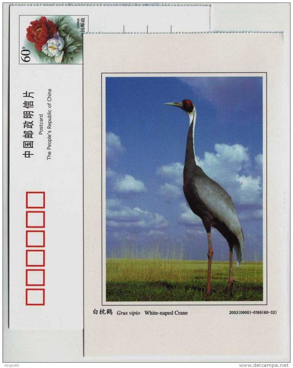 White-naped Crane,China 2002 Dongtan Rare Bird Postal Stationery Card - Kranichvögel