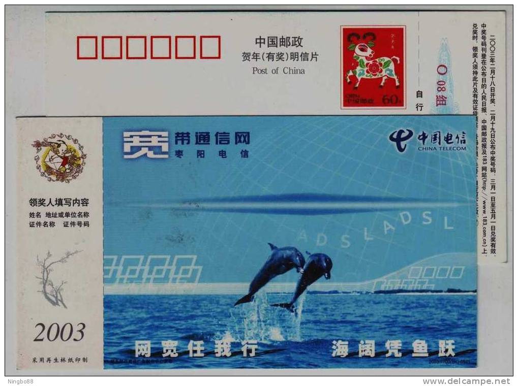 Dolphin,marine Life,China 2003 Zhaozhuang Telecom ADSL Service Advertising Pre-stamped Card - Dolphins