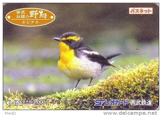 Carte Japon - Oiseau Passereau  - Songbird Bird Japan Card - Vogel Karte - 03 - Uccelli Canterini Ed Arboricoli