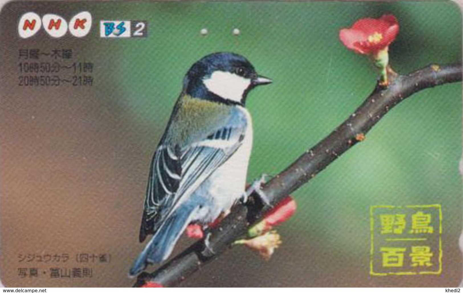 Télécarte JAPON / 110-011 - ANIMAL - OISEAU - MESANGE CHARBONNIERE - Tit BIRD JAPAN Phonecard ** NHK ** - 06 - Songbirds & Tree Dwellers
