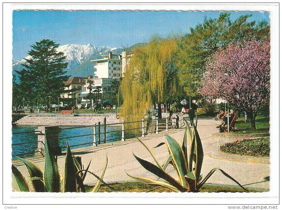 LOCARNO Muralto.  Suisse- Schweiz -Zwitserland Switzerland - Muralto