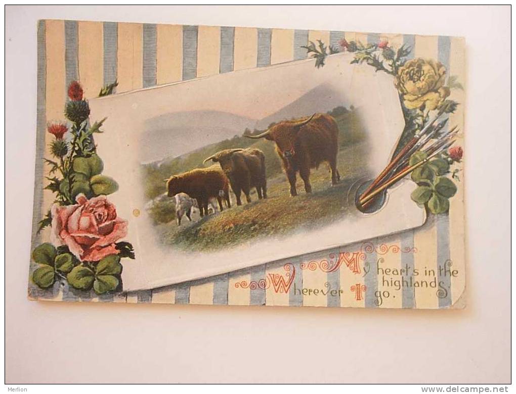 Cow - Bull  -  Cca 1915  G  D31616 - Bull