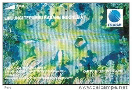 INDONESIA  100 U   MARINE  LIFE  BLUE ORAL  IRIAN JARA  EARLY CARD !! READ DESCRIPTION !! - Indonesia