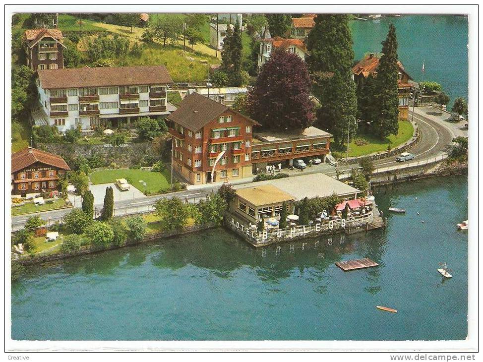 Hotel Und Restaurant Bühlegg  ,Weggis (avec Le Personnel ) .   Suisse- Schweiz -Zwitserland Switzerland - Weggis