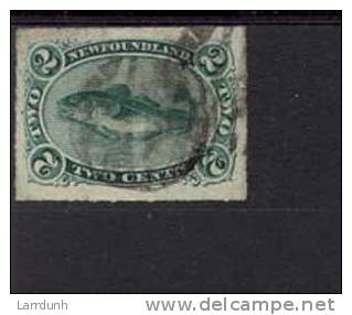 Newfoundland 38 Used Codfish 1876-79 A04s - 1865-1902