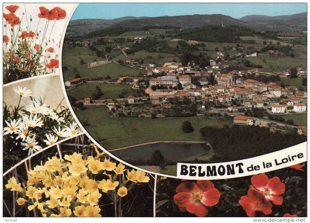 BELMONT DE LA LOIRE - Belmont De La Loire