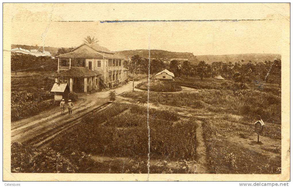 CPA Kindia - Institut Pasteur - Les Jardins - Guinée