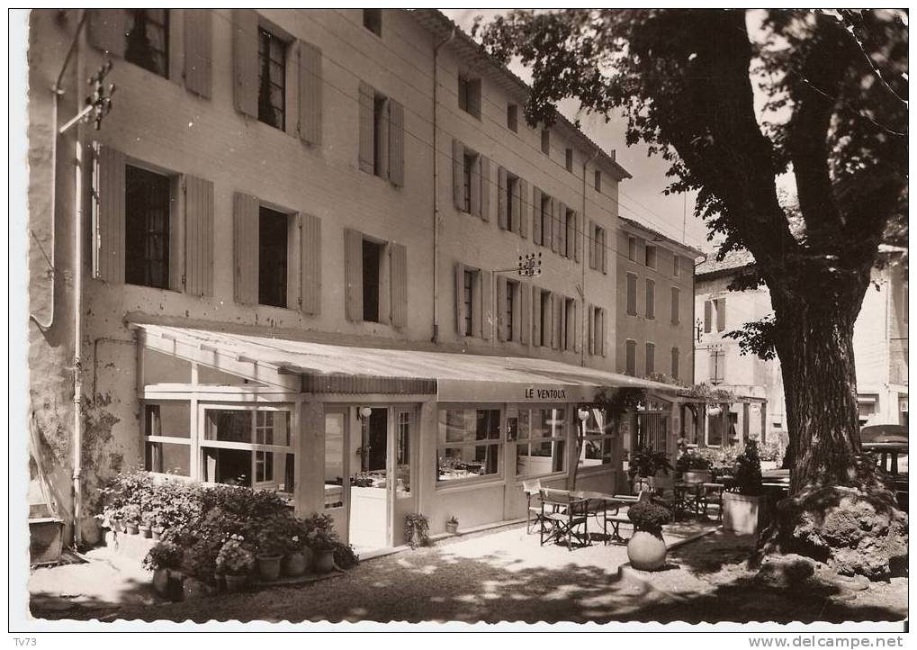 CpE2079 - MALAUCENE - Hotel Le Ventoux - (84 - Vaucluse) - Malaucene