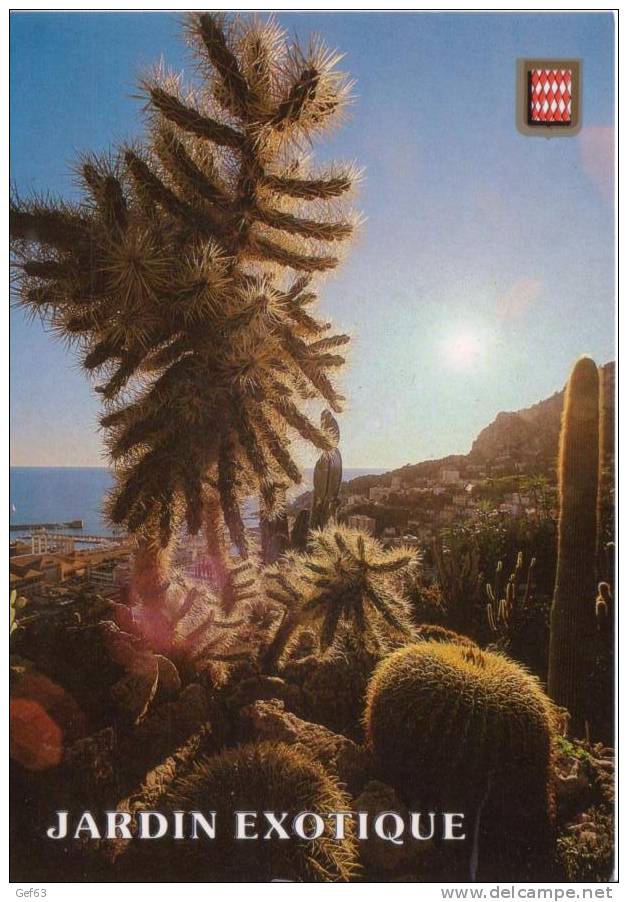 Monaco Monte-Carlo - Le Jardin Exotique (1987) - Exotischer Garten