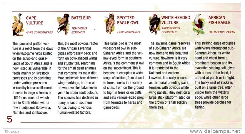 South Africa - 1998 Raptors Souvenir Booklet