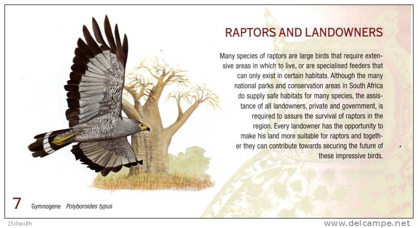 South Africa - 1998 Raptors Souvenir Booklet