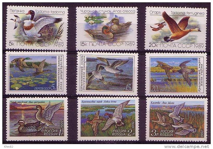 9 Timbres ** Russie - Oiseau CANARD - 9 Stamps Russia DUCK Bird Birds - Briefmarke ENTE Vogel - Entenvögel