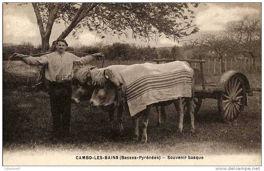 OF < 64 - CAMBO - LE CHAR à BOEUFS - Autres & Non Classés